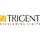 Trigent Software Inc