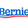 Bernie 2020 Organizing Alums