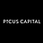 Picus Capital