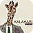 Kalahari Review