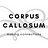 Corpus Callosum