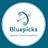 Bluepicksoffical