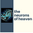 The Neurons of Heaven