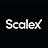 ScaleX Academy