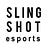 SLINGSHOT esports