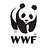 Panda blog @WWF-Hong Kong