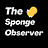 The Sponge Observer