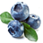 Blueberry Tech