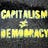 Capitalism and Democracy in America