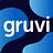 Gruvi Insights