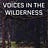 Voices in the Wilderness Journal