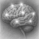 A collection of electrical impulses