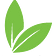 About Germinadora