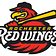 WINGIN’ IT
