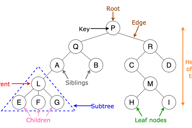 Tree Data Structure