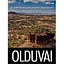 Steve Bull (https://olduvai.ca)