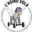 L'asino vola