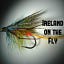 Editor Ireland on the Fly