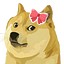 Dogette Admin
