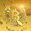 Bitcoins Exchanger
