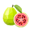 Guava Tech