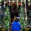 stories by nicole