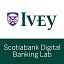 Ivey FinTech: Perspectives