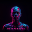 Metaparadox LTD