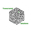 Transcranial Solutions