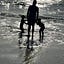 Enchanted Seashells| Pearls of wit, wisdom, whimsy