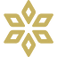 Spores Network