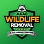 AAAC Wildlife Removal of Cincinnati