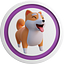 Shibafriends.xyz - Play Casual Gaming & Earn!