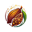 Coco Crypto