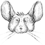 Chris Chinchilla