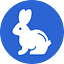 Whiterabbit