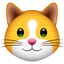 Kitten Finance