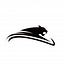 Acinonyx