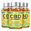 Blissful Aura CBD Gummies Ingredients