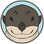 OtterSync