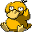 Y. Aduck