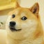 MemeCoin Review