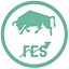 FES NSUT