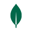 MongoDB