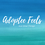 Adoptee Feels