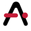 The APIS