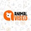 Animal Vised | Pets Breed | Cat | Dog | Horse