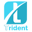 Trident Crypto Index Fund