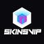 skinsvip