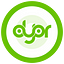 DYOR Audit